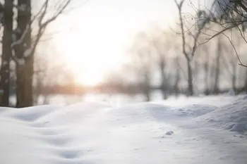 зимний закат, Рождественская страна чудес, лес, дерево, дорога, фоны для компьютерной печати, детские фоны для детей